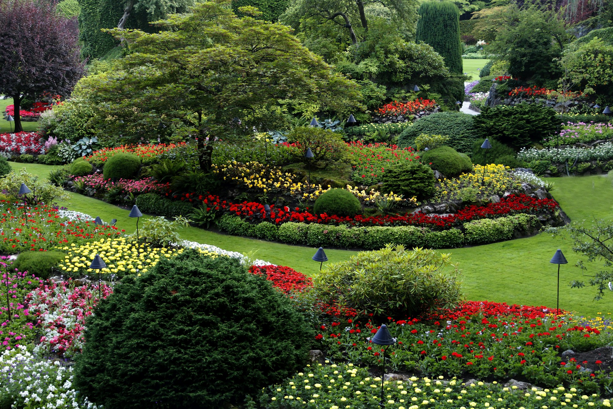 Cottage garden project